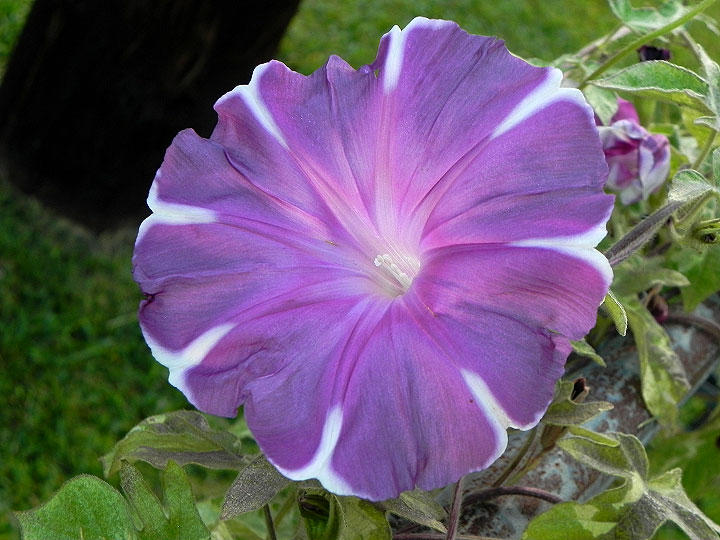 dscn1608