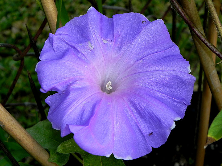 dscn1649
