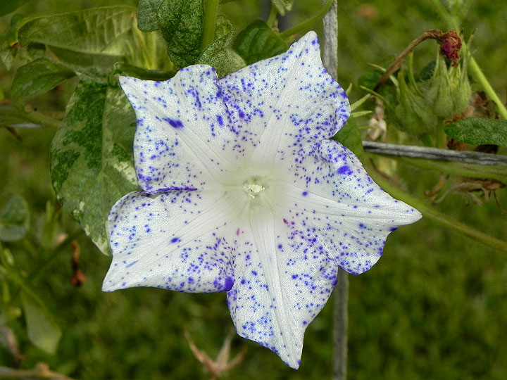 dscn1657