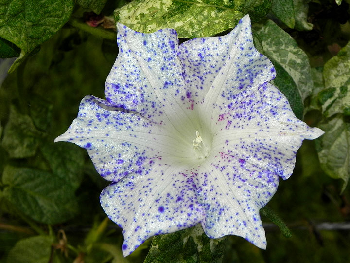 dscn1660