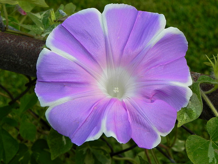 dscn1673
