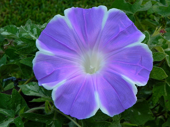 dscn1745