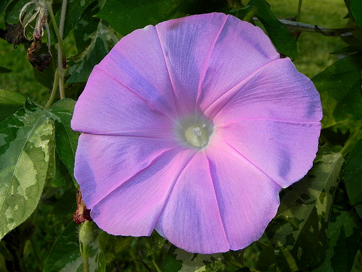 dscn1819