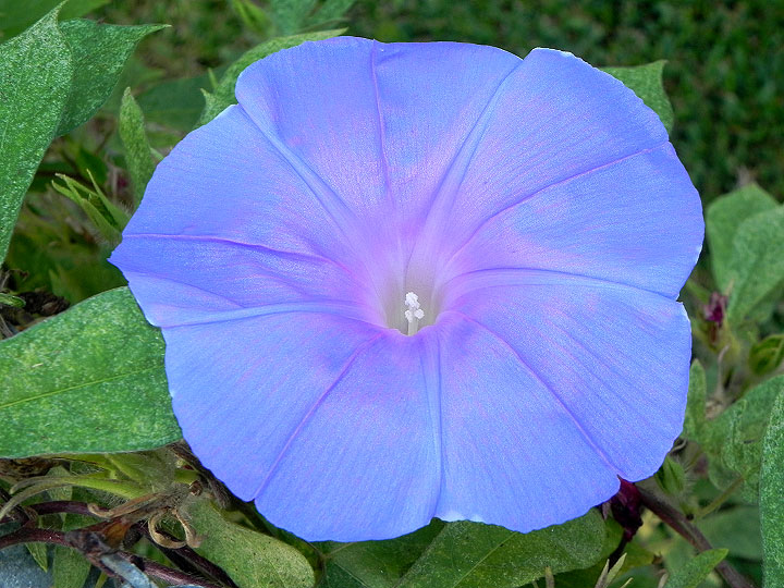 dscn1853