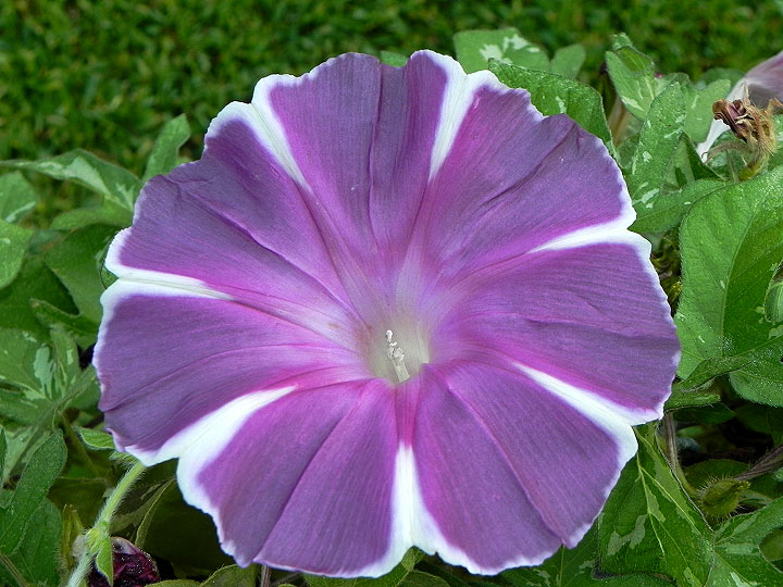 dscn1866