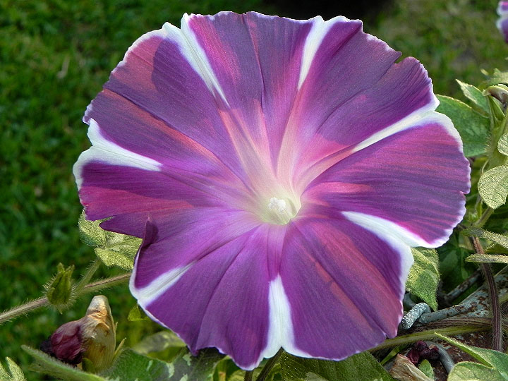 dscn1867