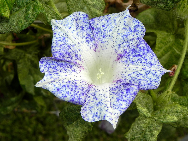 dscn1917