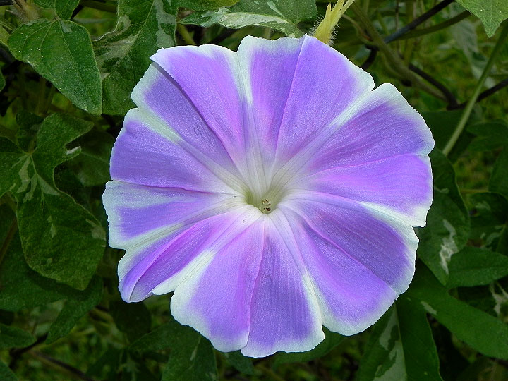 dscn1922
