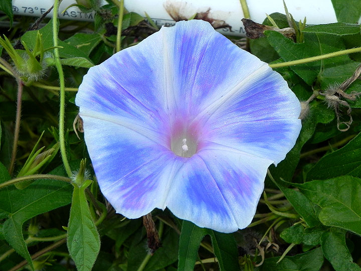 dscn1927