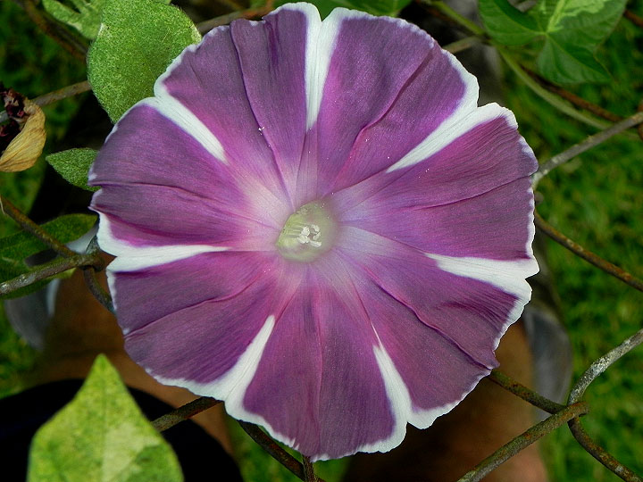 dscn1928