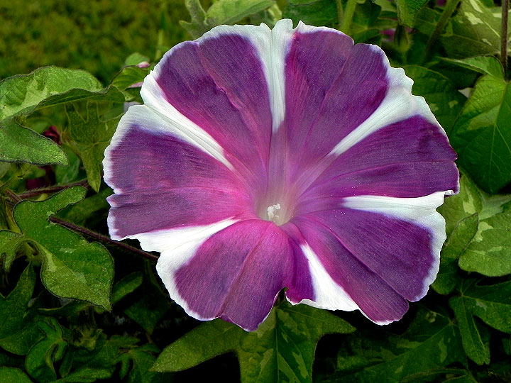 dscn2041