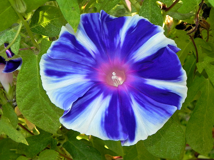 dscn2091