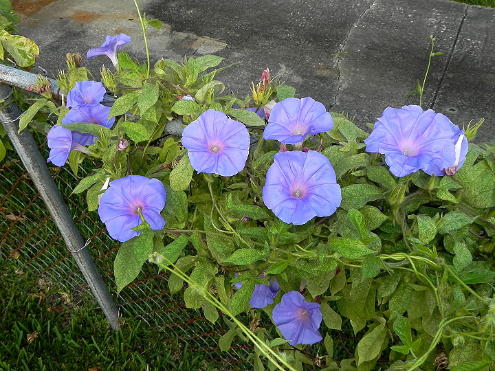 dscn2149