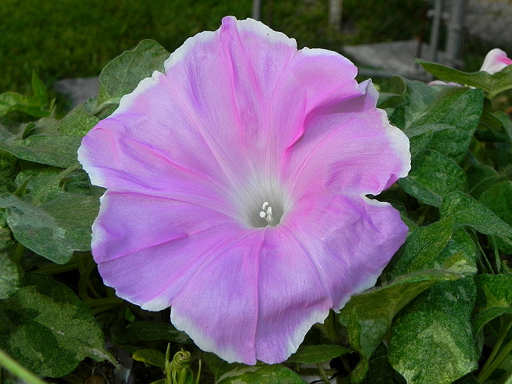 dscn2152