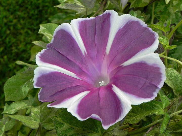 dscn2202