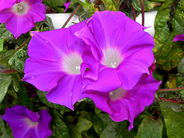 dscn2262