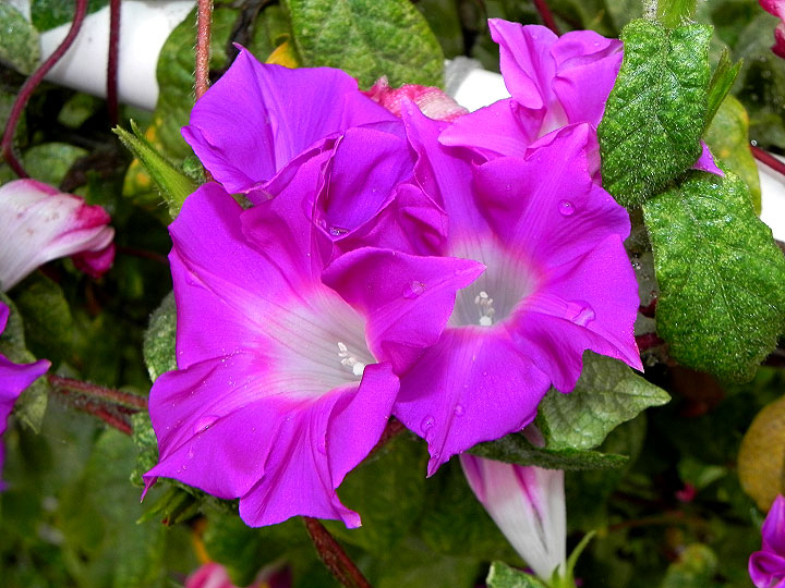 dscn2263