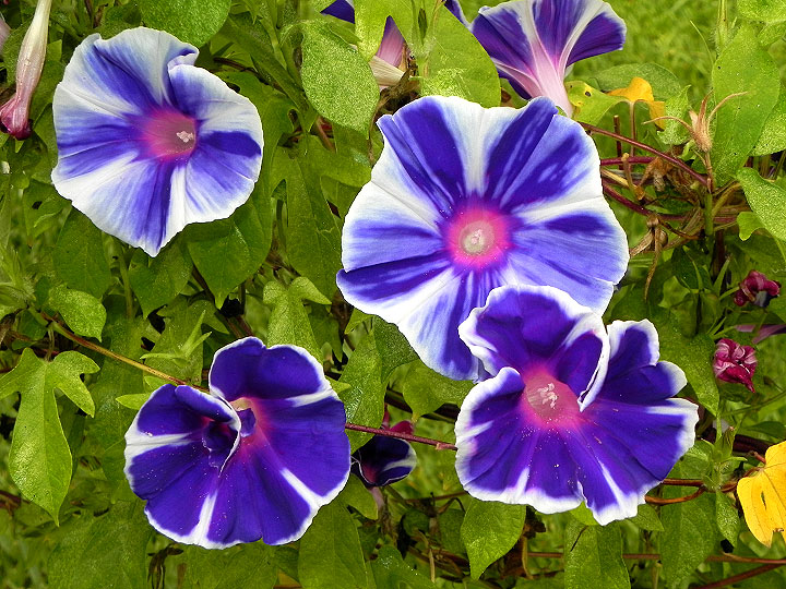 dscn2298