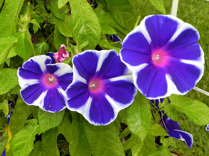 dscn2299