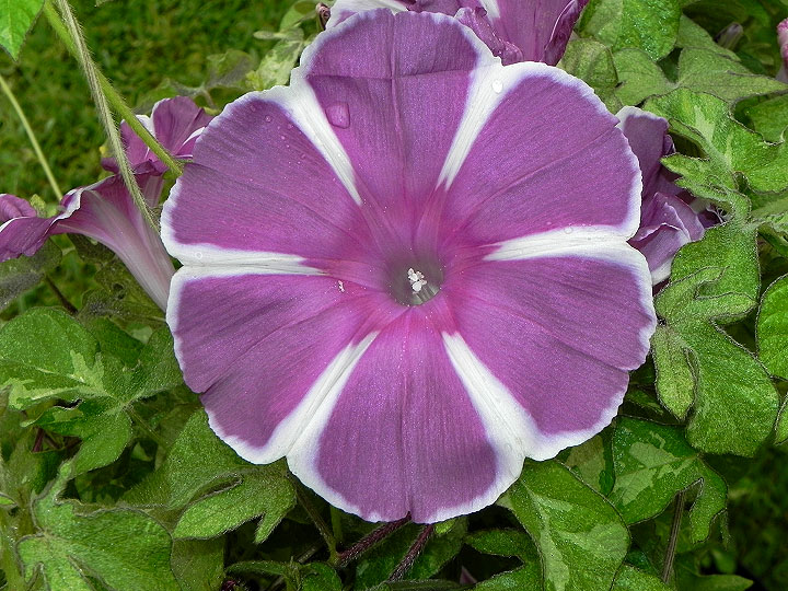 dscn2311