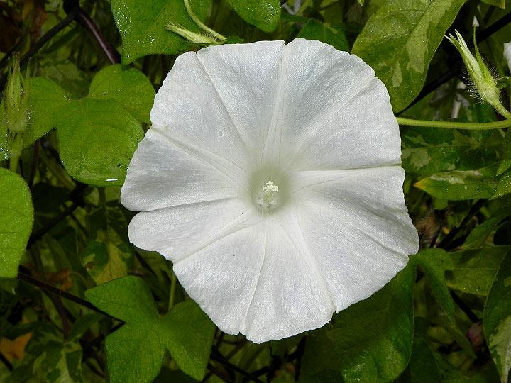 dscn2346