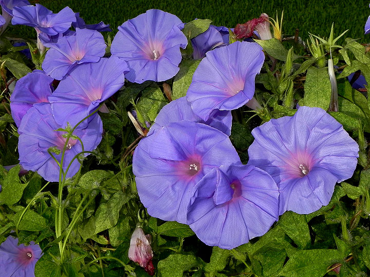 dscn2413