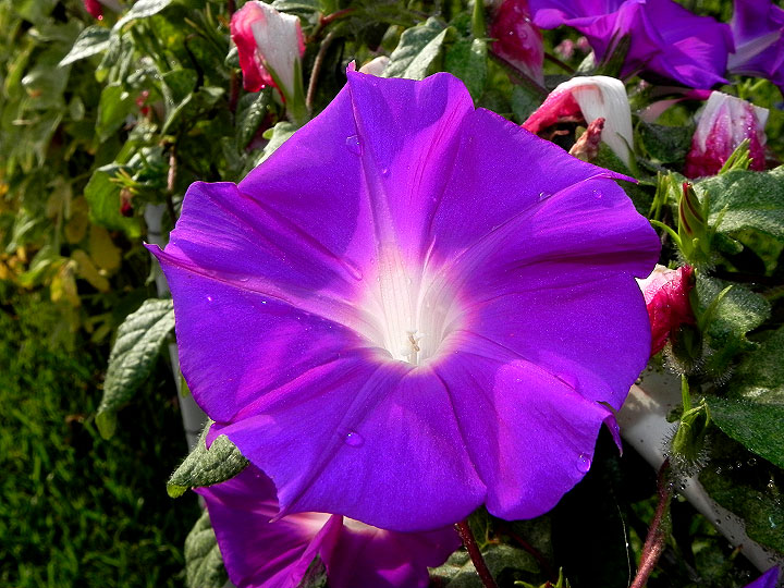 dscn2418