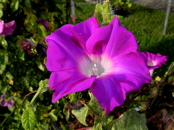 dscn2419