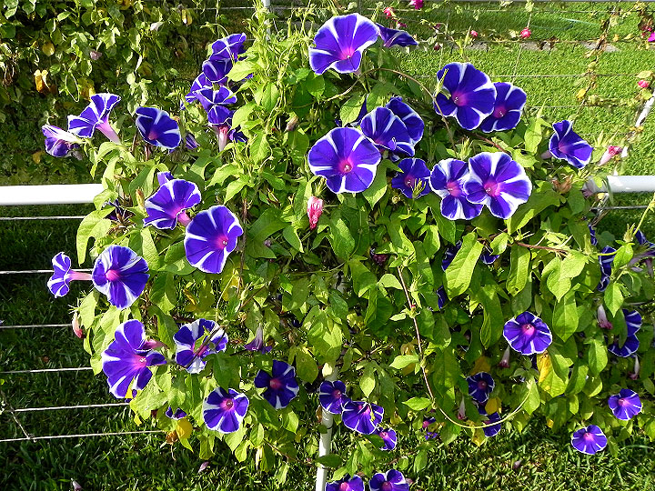 dscn2448