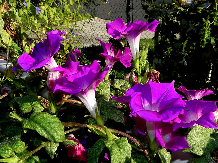 dscn2531