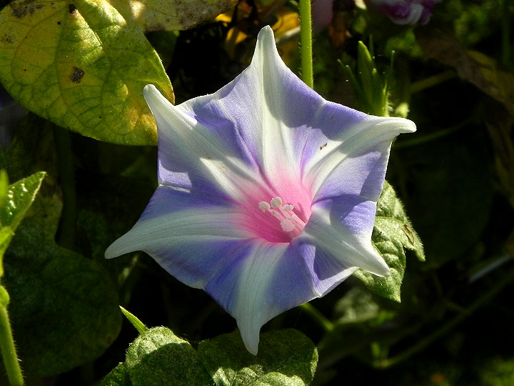 dscn2559