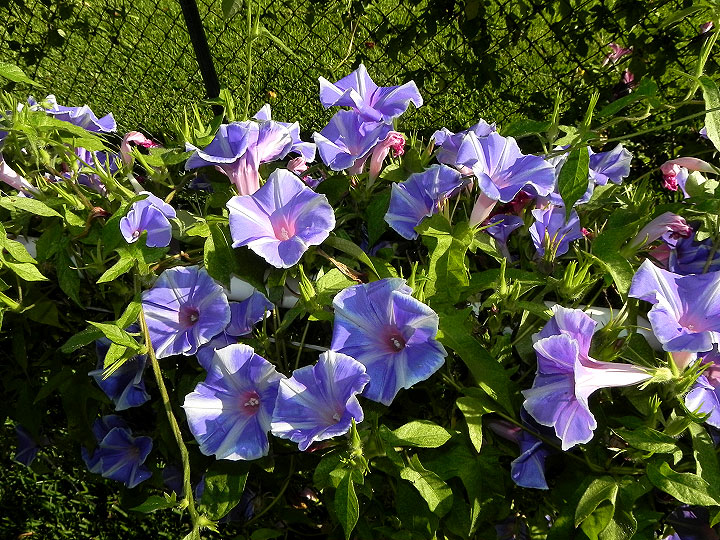 dscn2574