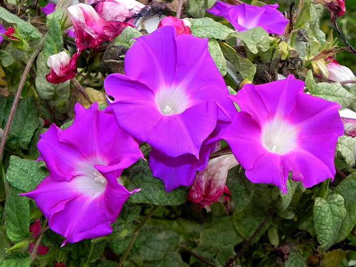 dscn2625