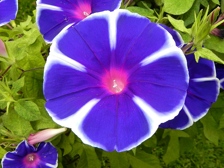 dscn2671