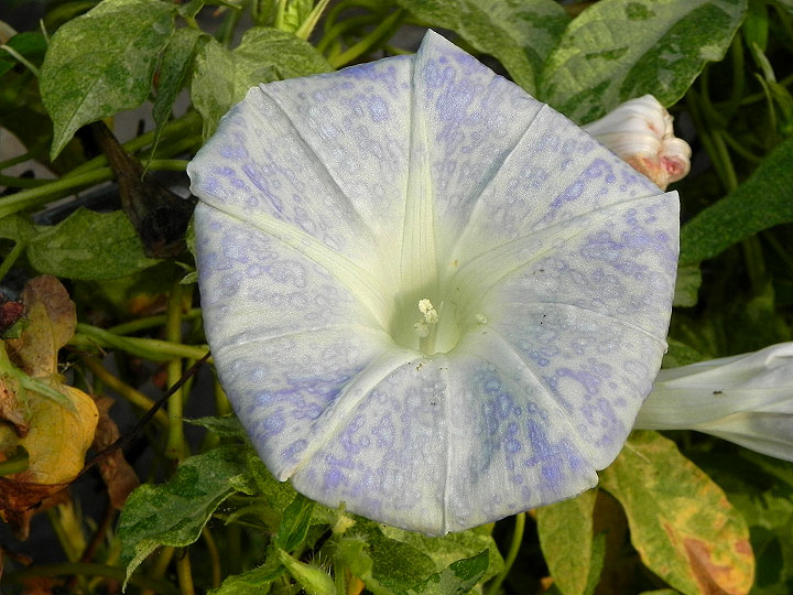 dscn2822