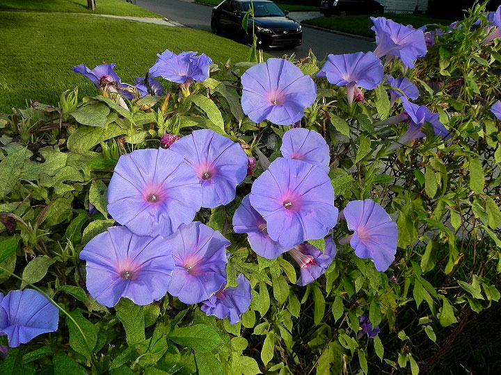 dscn2824