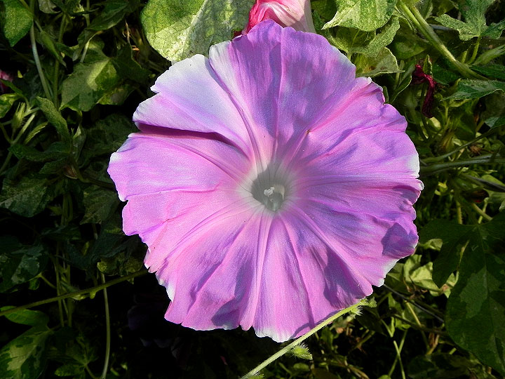 dscn2826