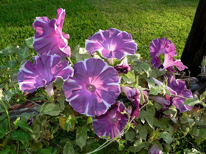 dscn2855
