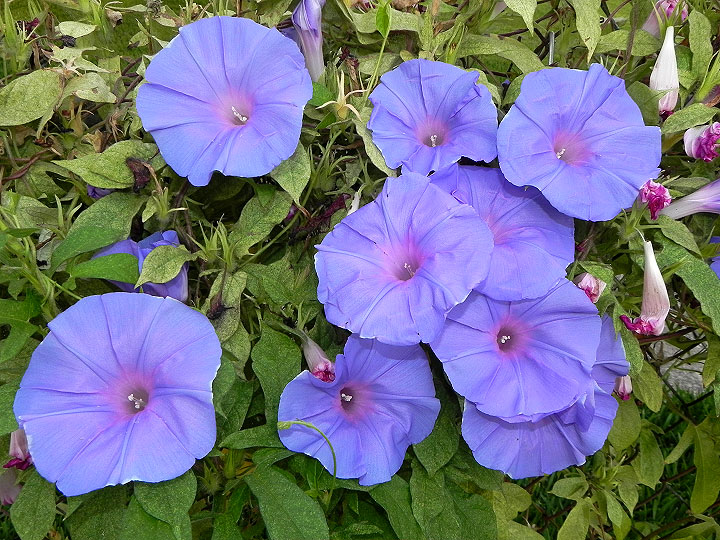 dscn2915