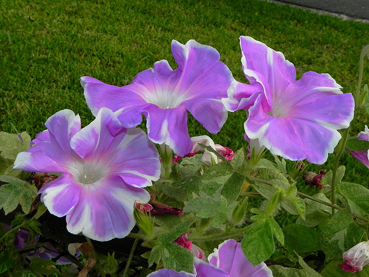 dscn2958