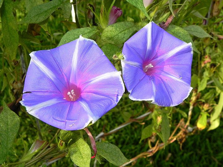 dscn2975