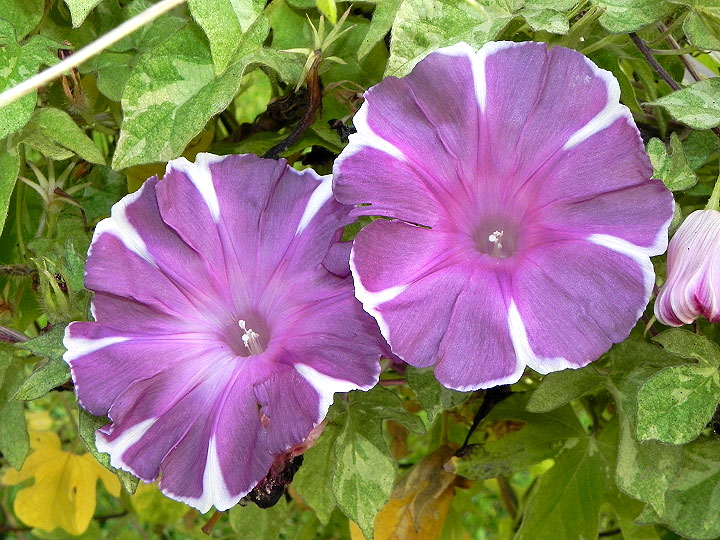 dscn2977