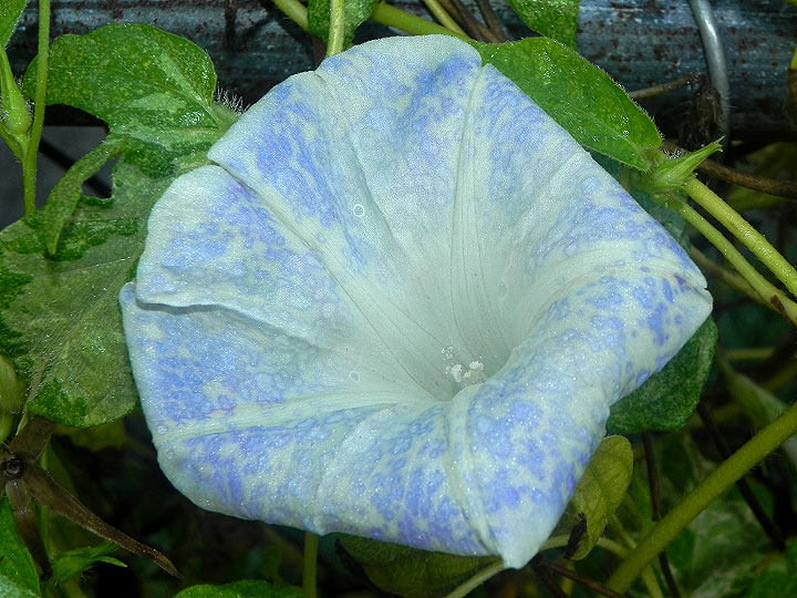 dscn3008
