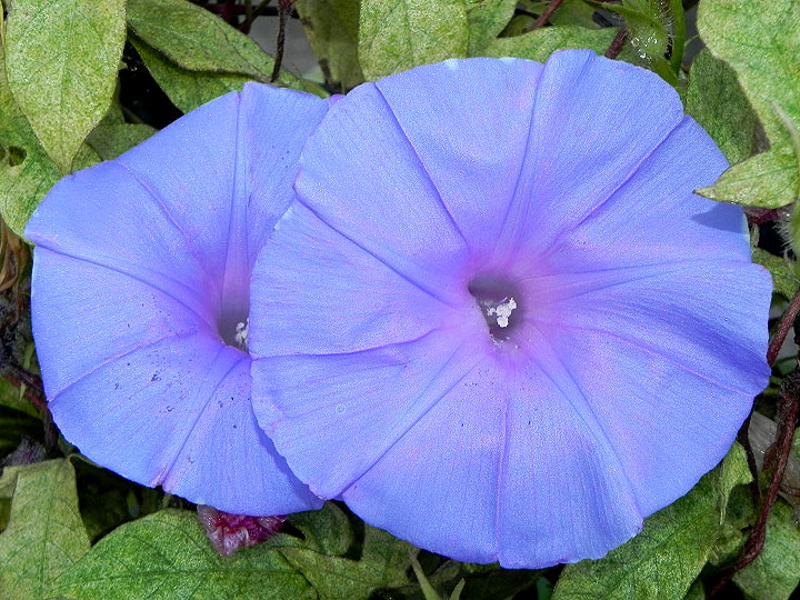 dscn3012