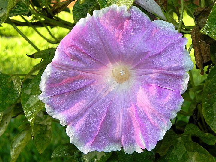 dscn3014