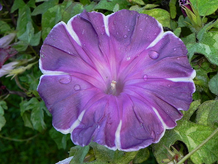 dscn3061