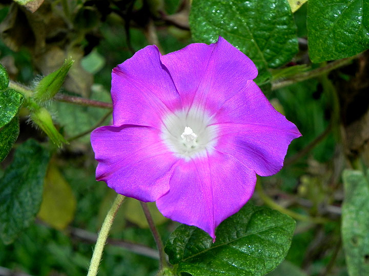 dscn3092