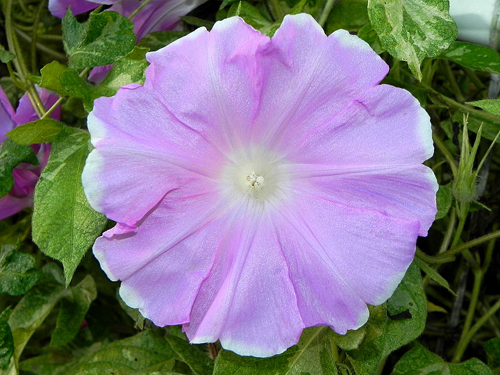 dscn3187