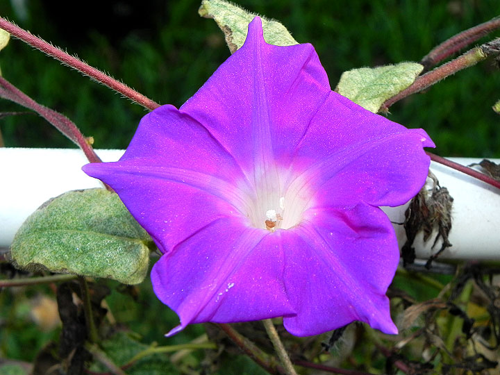 dscn3190