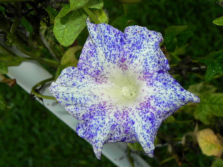 dscn3210